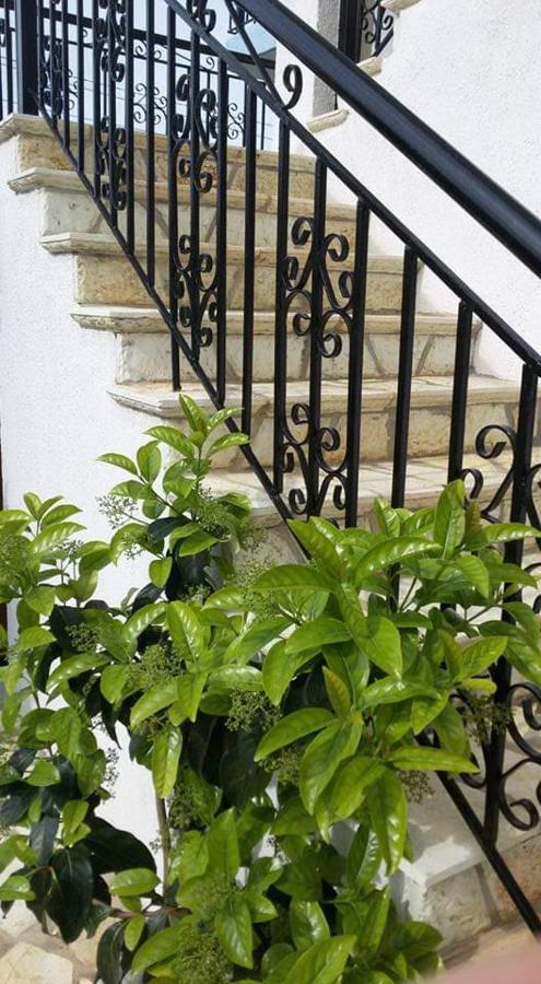 Апартаменти Green Apartments *